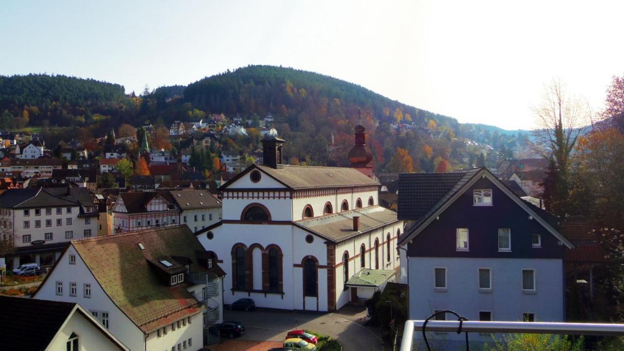 Villa Fink Шрамберг Экстерьер фото